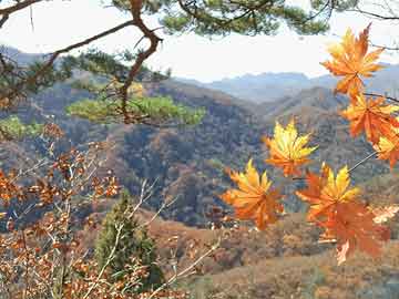 郭广昌的复星旅文97亿港元私有化，下一步转型“轻资产”|界面新闻 · 地产